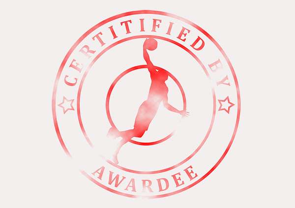 certificate-template-basketball-modern-3-grey-bbsr Image