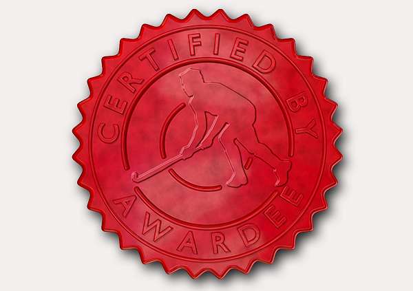certificate-template-hockey-modern-3-grey-ghsr Image