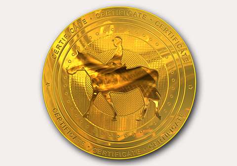 Free Horse Riding Certificate templates - Add Printable Badges &amp; Medals