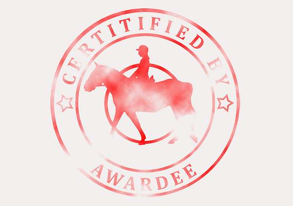 certificate-template-horse-riding-modern-3-grey-bhsr Image