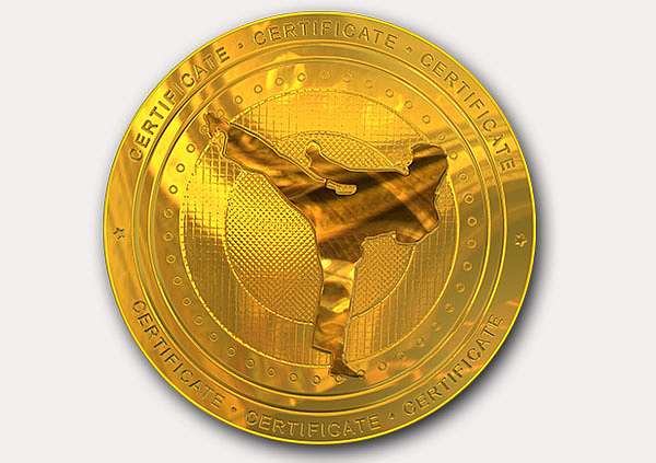certificate-template-martial-arts-modern-2-grey-bmmg Image