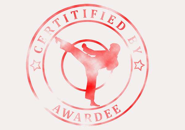 certificate-template-martial-arts-modern-3-grey-bmsr Image