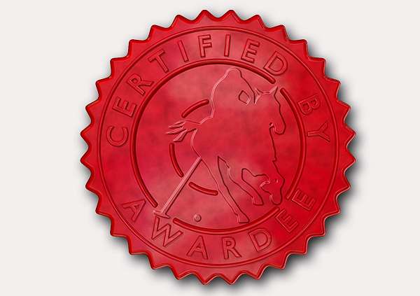 certificate-template-polo-modern-3-grey-gpsr Image