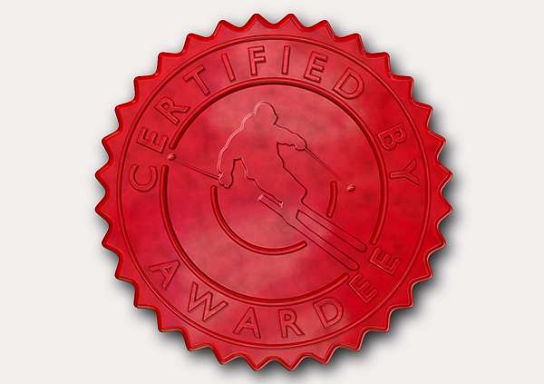 certificate-template-skiing-modern-3-grey-gssr Image