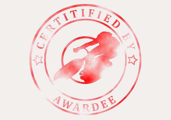 certificate-template-velodrome-modern-3-grey-bvsr Image