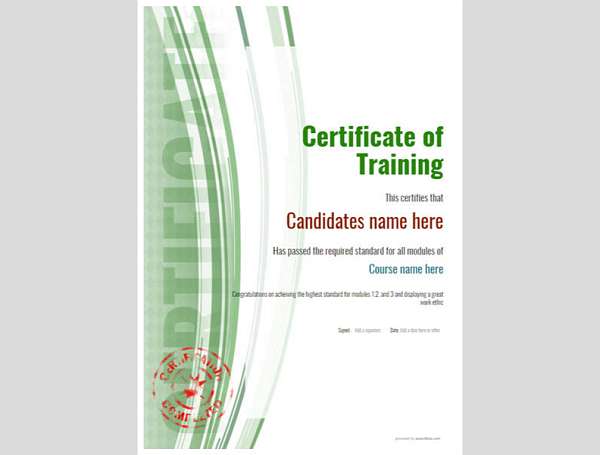 portrait format stamped modern training certificate in green Image