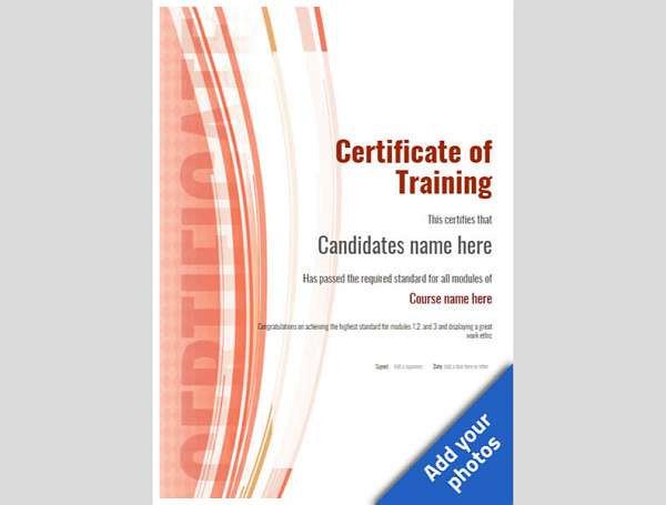 portrait format modern certificate of training in blank Image