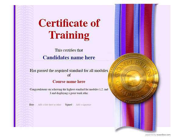 modern training certificate with medallion Image