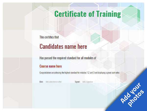 modern certificate of training with no decoration Image