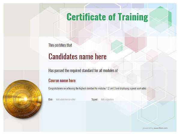 modern certificate of training with medal 